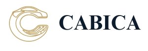 Cabica taxi dispatch software
